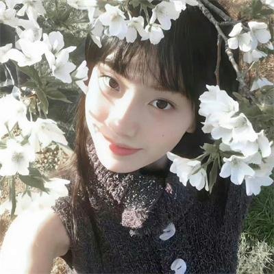 我的小山雀